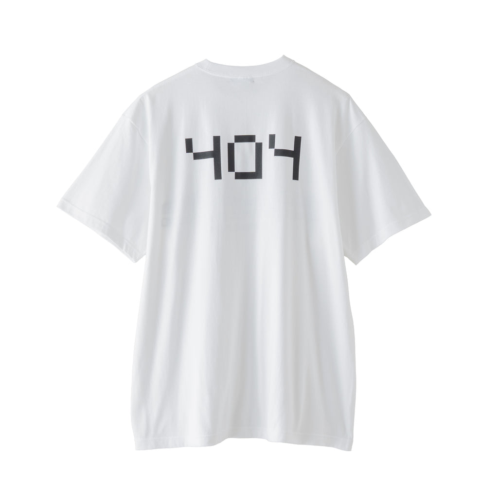 Brain 404 T